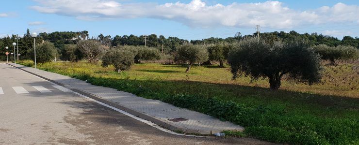 Parcela Rústica en Vall Llobrega