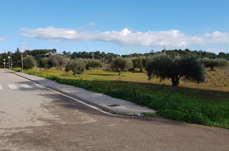 Parcela Rústica en Vall Llobrega
